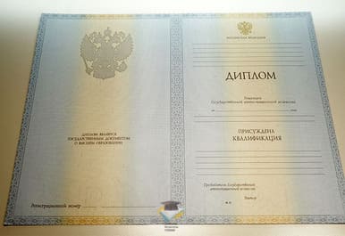 Диплом РМИЭУ 2012-2013 годов